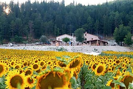 Agriturismo Il Casale