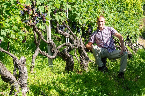 Cantina El Zeremia - photo 2