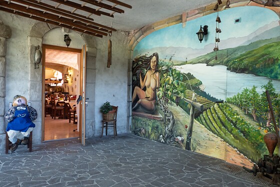 Cantina El Zeremia - photo 5