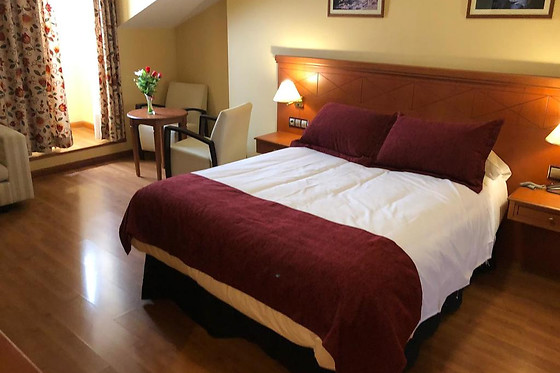 HOTEL CAMINO REAL - photo 1