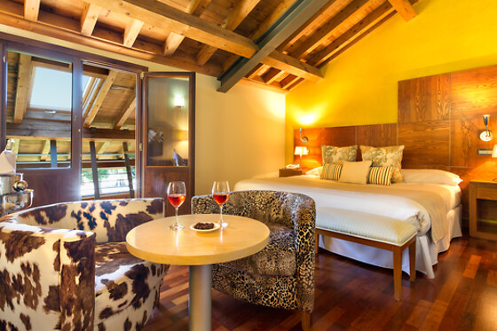 HOTEL IZAN PUERTA DE GREDOS - photo 11
