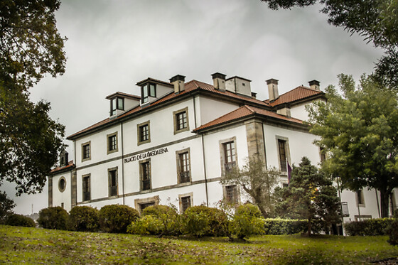 HOTEL PALACIO DE LA MAGDALENA - photo 17