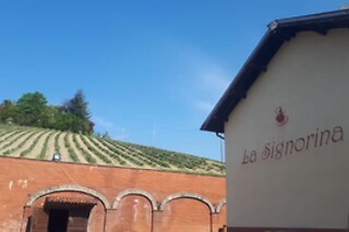 Visita alla cantina e ai vigneti con degustazione di vino presso Cascina La Signorina in provincia di Alessandria