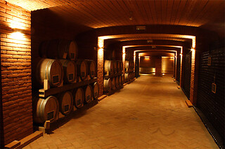 Visita alla cantina e ai vigneti con degustazione di vino presso Cascina La Signorina in provincia di Alessandria