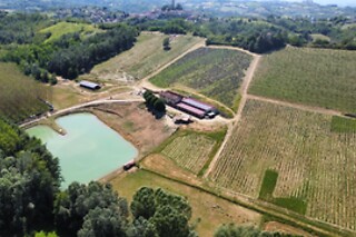 Visita alla cantina e ai vigneti con degustazione di vino presso Cascina La Signorina in provincia di Alessandria