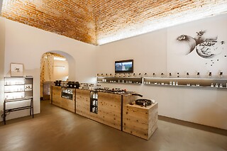 Anamnesi ippocratica e massaggio a scelta presso Sensi Skinfood Torino a Torino