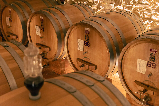 Visita ai vigneti e alle cantine con degustazione guidata di vini tipici presso Agricola Montenigo nel veronese