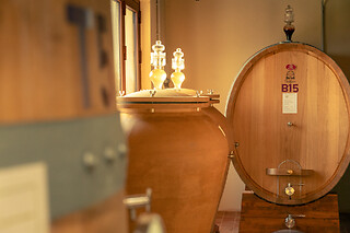 Visita ai vigneti e alle cantine con degustazione guidata di vini tipici presso Agricola Montenigo nel veronese