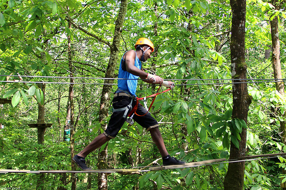 Forêt Adrénaline Carnac - photo 9