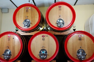 Visita ai vigneti e alla cantina con degustazione di vini tipici da Casa Benna in provincia di Piacenza