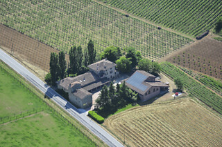 Visita ai vigneti e alla cantina con degustazione di vini tipici da Casa Benna in provincia di Piacenza