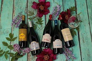Visita ai vigneti e alla cantina con degustazione di vini tipici da Casa Benna in provincia di Piacenza
