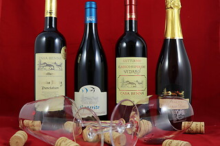 Visita ai vigneti e alla cantina con degustazione di vini tipici da Casa Benna in provincia di Piacenza