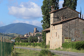 Visita ai vigneti e alla cantina con degustazione di vini tipici da Casa Benna in provincia di Piacenza