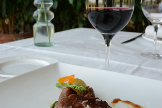 HOTEL CIGARRAL EL BOSQUE - photo 17