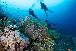 HOTEL SPA PORT D'ARO