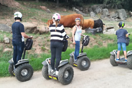 NATURATOURS