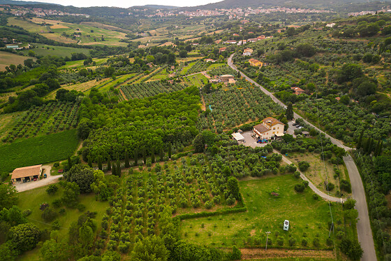 Frantoio La Macina - photo 1