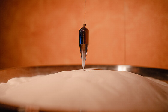 Acqua & SPA Cavalese - photo 5