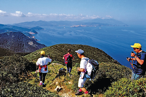 Attività sportiva presso Il Viottolo Kayak all'Isola d'Elba