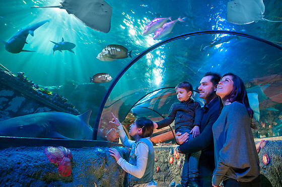 Speciale Comunione: Gardaland Park - 1 giorno / 2 persone