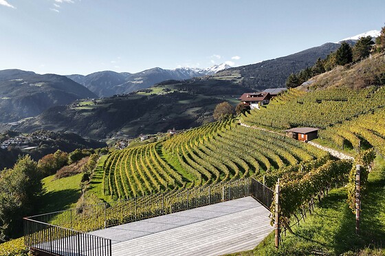 Cantina Valle Isarco - photo 7