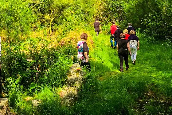 Montes de Laboreiro - photo 3