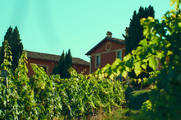 Cantina D'Erasmo