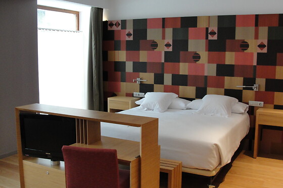 HOTEL RESORT BALNEARIO DE PANTICOSA - photo 23