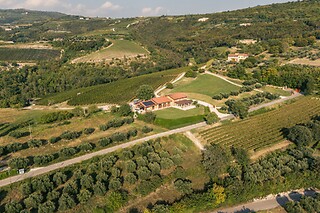 Visita ai vigneti e alle cantine con degustazione guidata di vini tipici presso Agricola Montenigo nel veronese