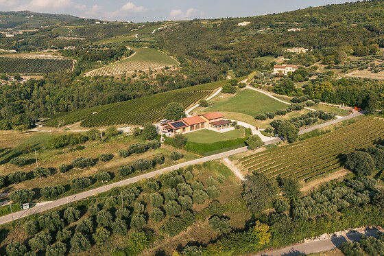 Visita ai vigneti e alle cantine con degustazione guidata di vini tipici presso Agricola Montenigo nel veronese