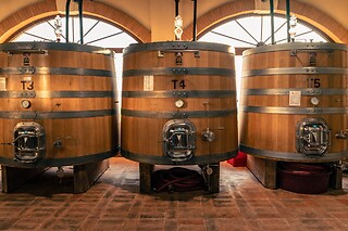 Visita ai vigneti e alle cantine con degustazione guidata di vini tipici presso Agricola Montenigo nel veronese