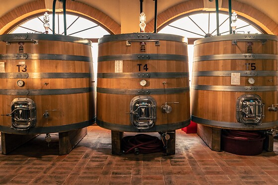 Visita ai vigneti e alle cantine con degustazione guidata di vini tipici presso Agricola Montenigo nel veronese