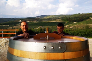 Visita ai vigneti e alle cantine con degustazione guidata di vini tipici presso Agricola Montenigo nel veronese