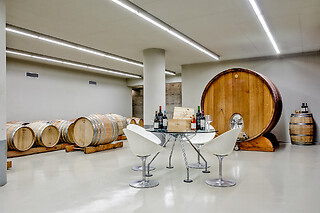 Visita alla cantina e ai vigneti con degustazione guidata di vini presso Capua Winery in provincia di Grosseto