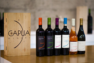 Visita alla cantina e ai vigneti con degustazione guidata di vini presso Capua Winery in provincia di Grosseto
