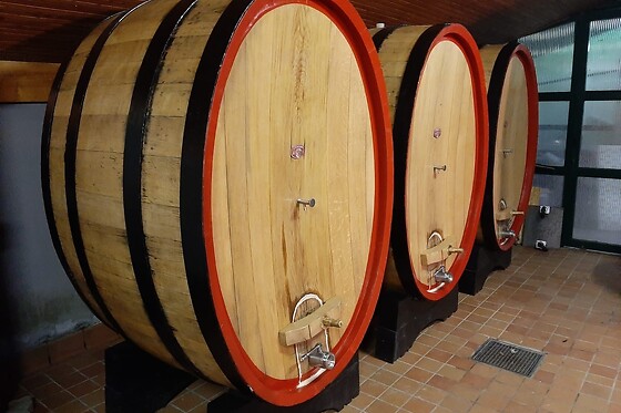 Montepascolo - photo 0