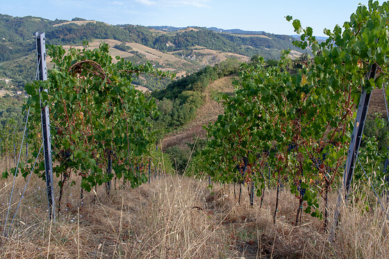 Franchina e Giarone - photo 5