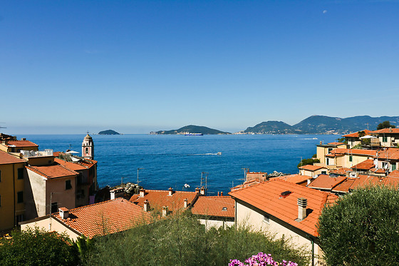 Hotel Shelley e delle Palme - photo 1