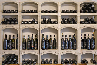 Visita di cantina e vigneti con degustazione presso Azienda Agricola Boggero a Vaglio Serra in provincia di Asti