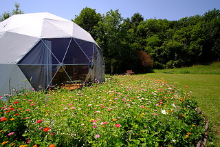 Soggiorno insolito di una notte presso Glamping That's Life in provincia di Belluno
