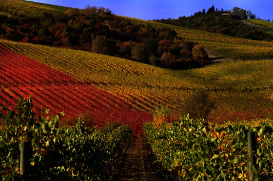 Soggiorno di due notti con cene tipiche all'Agriturismo ­La ­Ginestrella in provincia di Perugia
