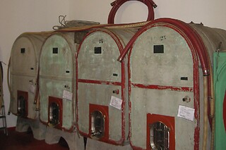 Visita alla cantina e ai vigneti con degustazione di vini presso Az. Agricola Luca Fedele in provincia di Udine