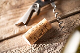 Visita alla cantina e ai vigneti con degustazione di vini presso Az. Agricola Luca Fedele in provincia di Udine
