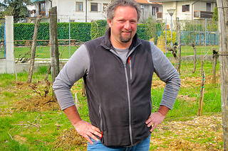 Visita alla cantina e ai vigneti con degustazione di vini presso Az. Agricola Luca Fedele in provincia di Udine
