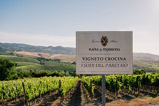 Wine Tour con degustazione all Cantina Wine Shop Badia di Morrona in provincia di Pisa