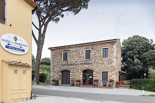 Wine Tour con degustazione all Cantina Wine Shop Badia di Morrona in provincia di Pisa