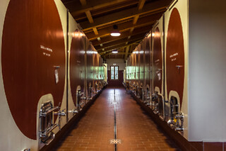 Wine Tour con degustazione all Cantina Wine Shop Badia di Morrona in provincia di Pisa