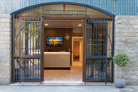 Orus Group - photo 1