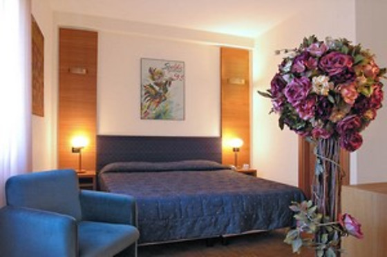 Hotel Clarici - photo 7